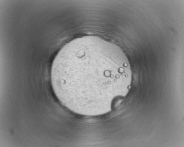 X0000115040620200911231134