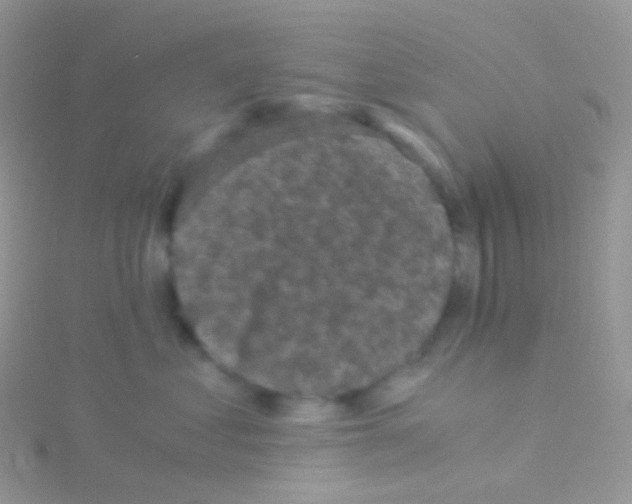 X0000115040621200911231134