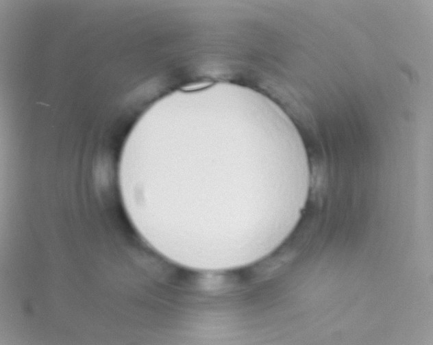 X0000115040623200911231134