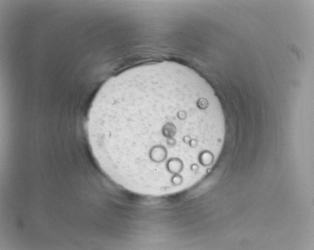 X0000115040624200911231134