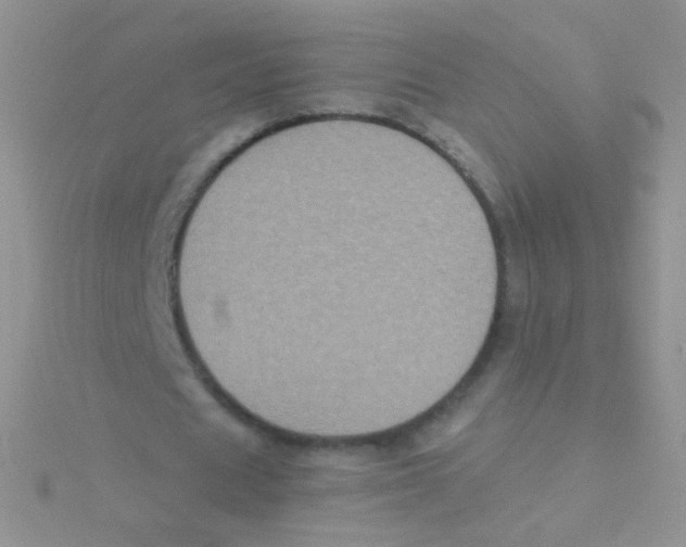 X0000115040625200911231133