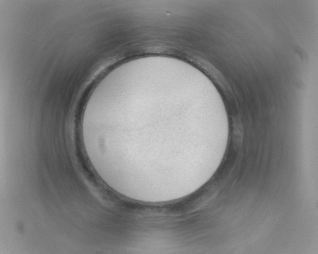 X0000115040626200911231133