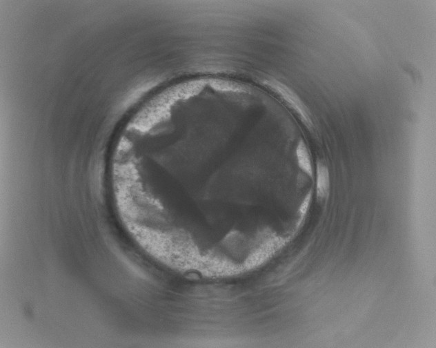 X0000115040627200911231133