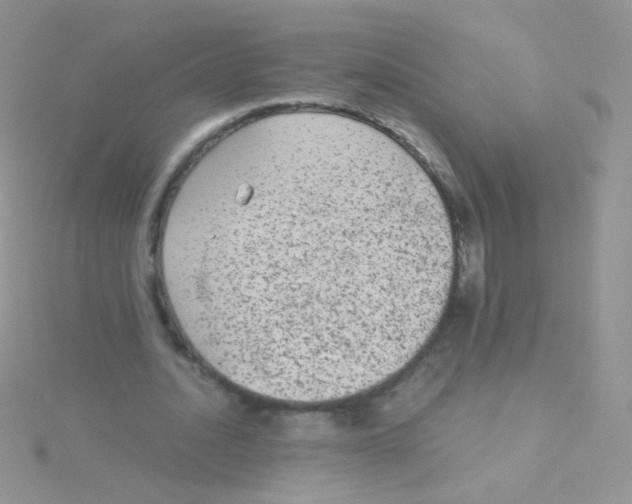 X0000115040628200911231133