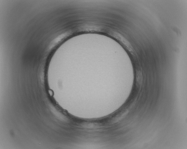 X0000115040629200911231133