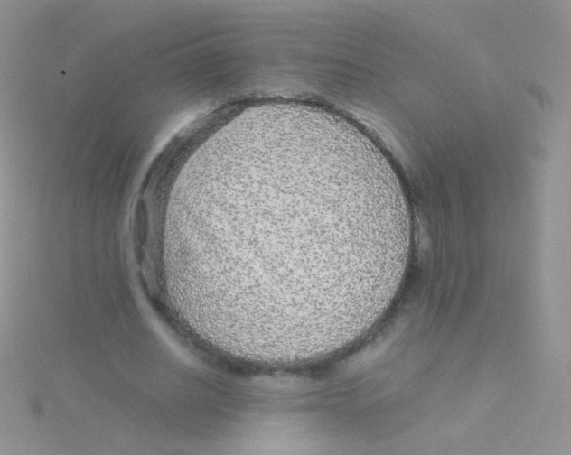 X0000115040630200911231133