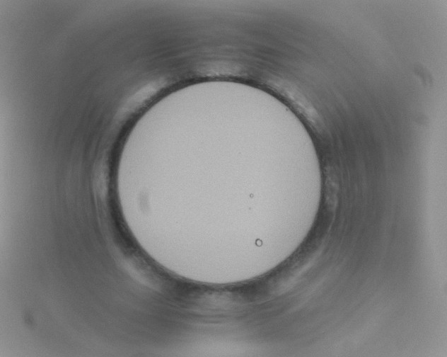 X0000115040631200911231133