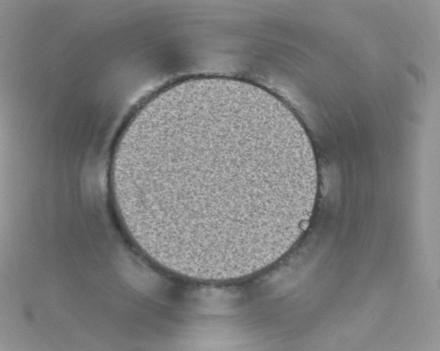 X0000115040632200911231133