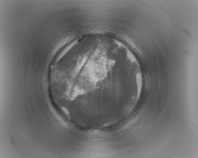 X0000115040634200911231133