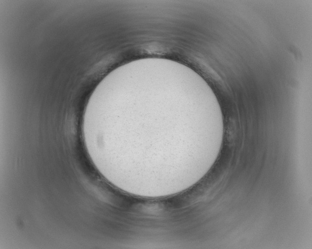 X0000115040639200911231133