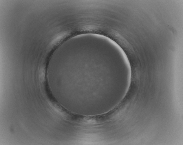 X0000115040640200911231133