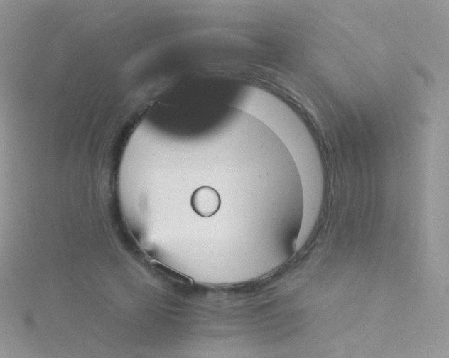 X0000115040641200911231134