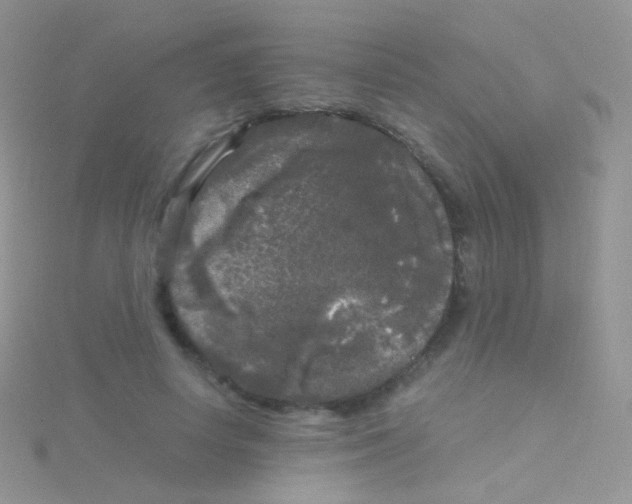 X0000115040642200911231134