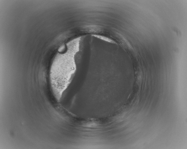 X0000115040643200911231134