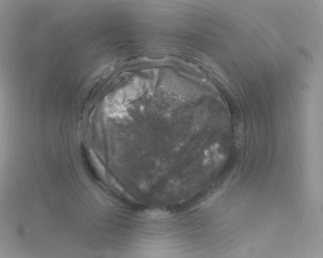 X0000115040644200911231134