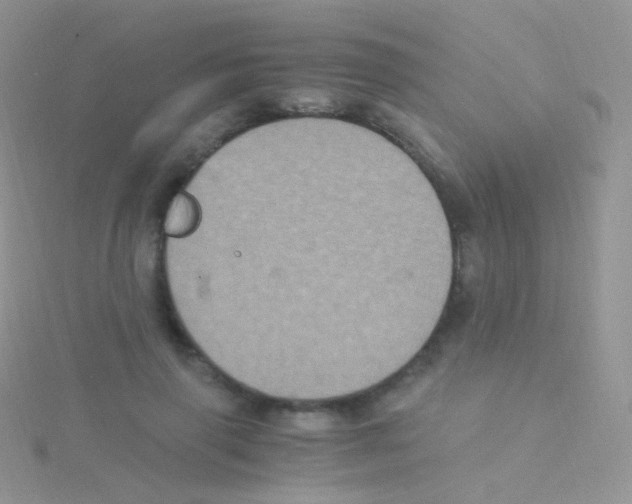 X0000115040645200911231134