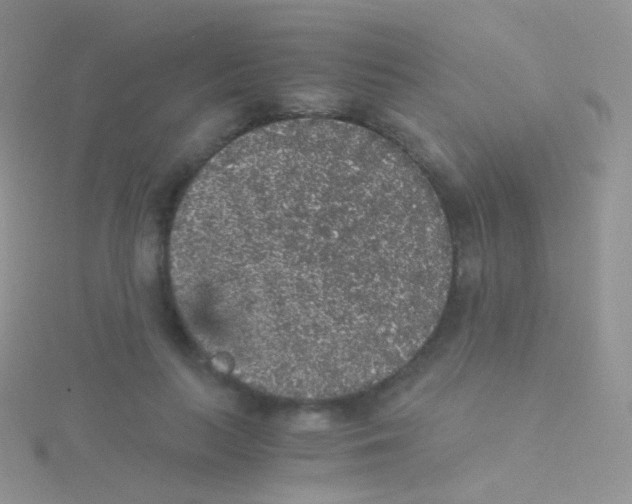 X0000115040647200911231134