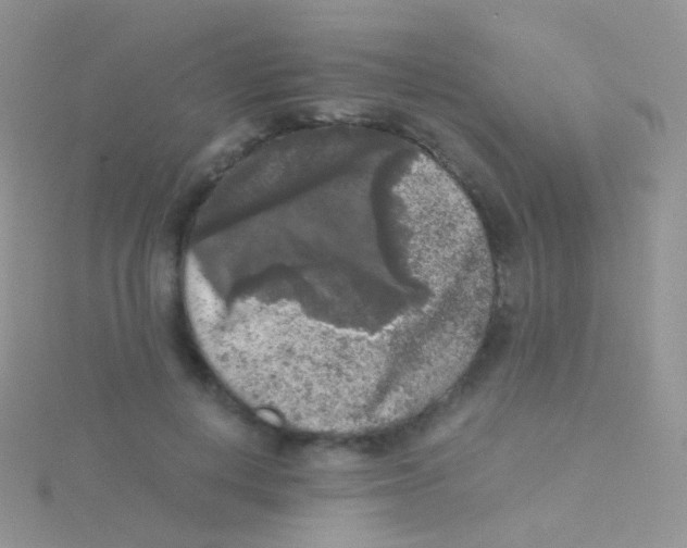 X0000115040648200911231134