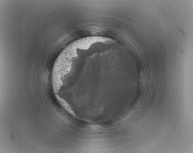 X0000115040650200911231134