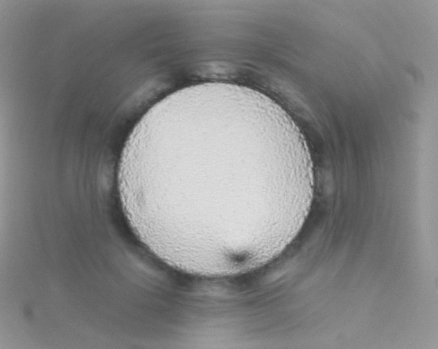 X0000115040652200911231134