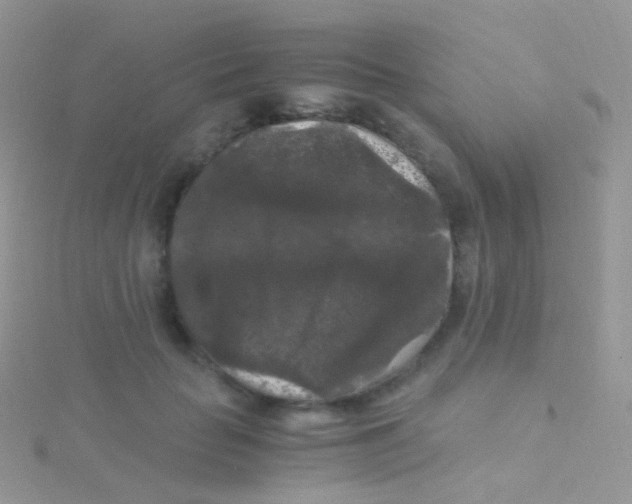 X0000115040653200911231134