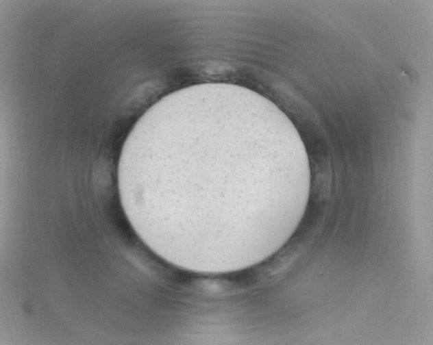 X0000115040654200911231134