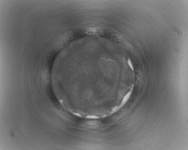 X0000115040659200911231134