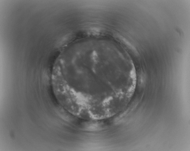 X0000115040661200911231134