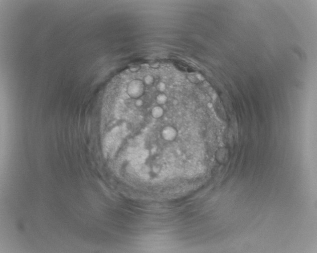 X0000115040664200911231134