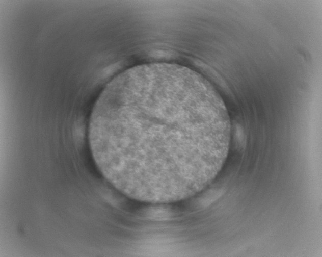 X0000115040668200911231134