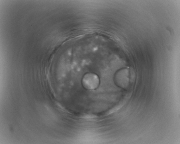 X0000115040670200911231134