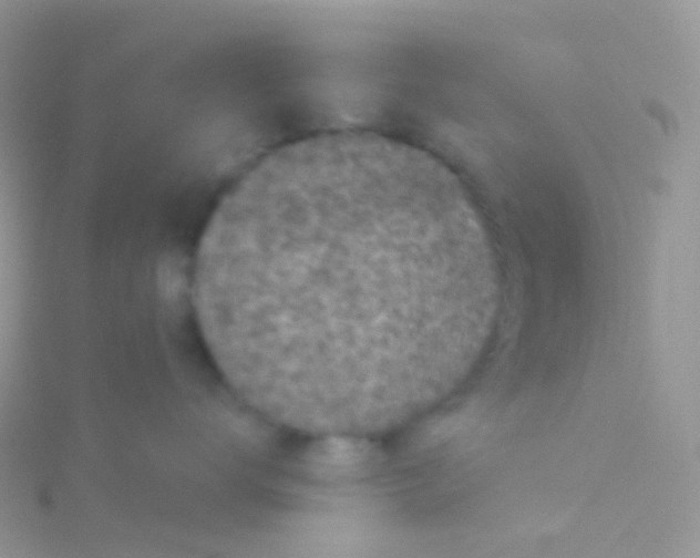 X0000115040672200911231134