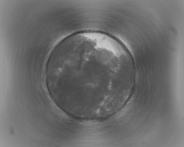 X0000115040673200911231133