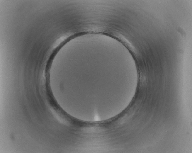 X0000115040674200911231133