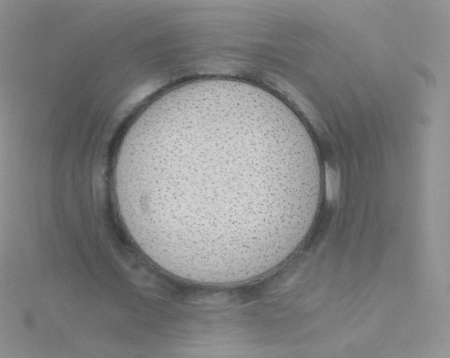 X0000115040675200911231133