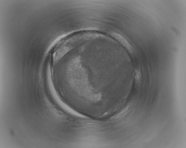 X0000115040676200911231133