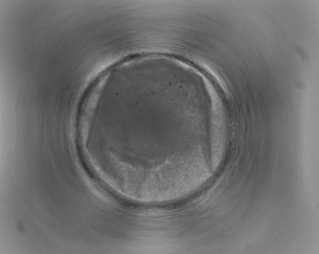 X0000115040677200911231133