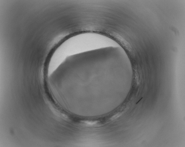 X0000115040678200911231133