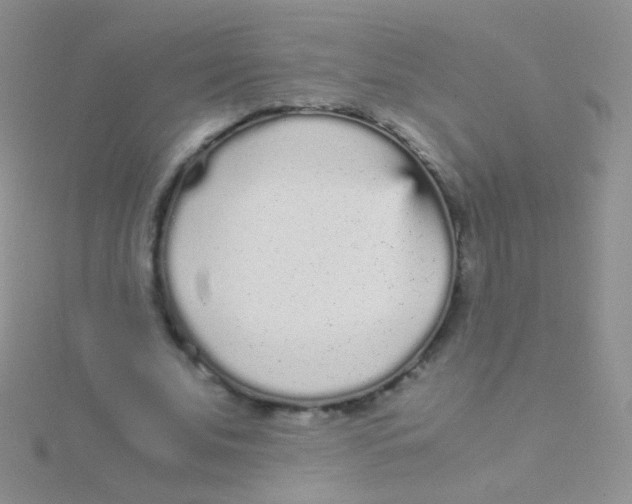 X0000115040679200911231133