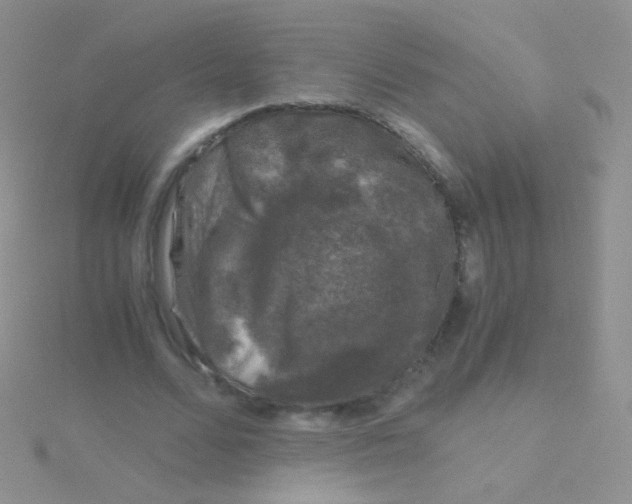 X0000115040680200911231133