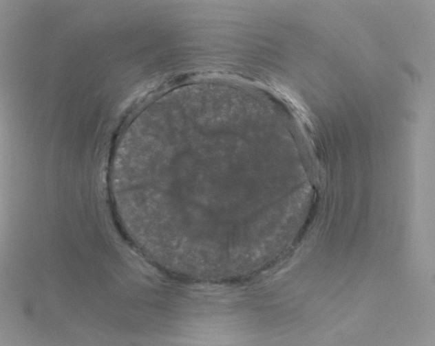 X0000115040681200911231133