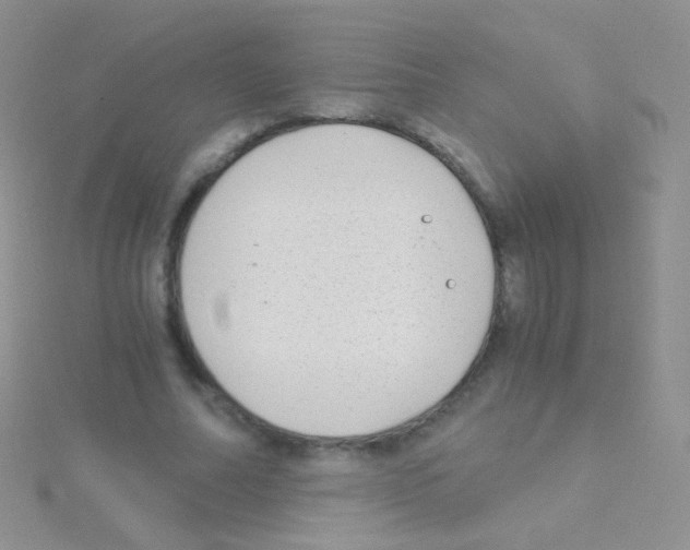 X0000115040682200911231133