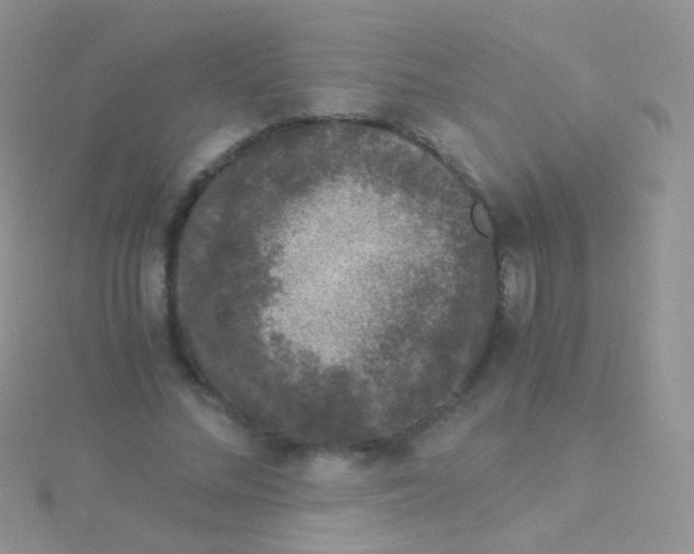 X0000115040684200911231133