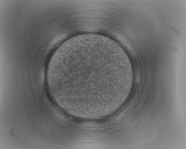 X0000115040685200911231133