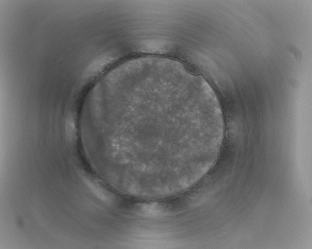 X0000115040688200911231133