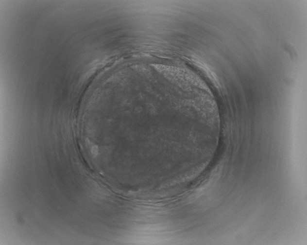 X0000115040689200911231133