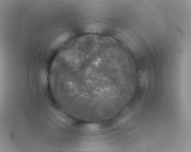 X0000115040692200911231133