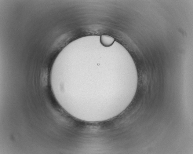 X0000115040694200911231133