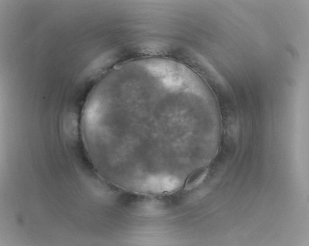 X0000115040696200911231133