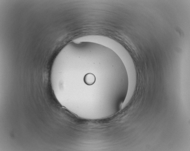 X0000115040697200911231133